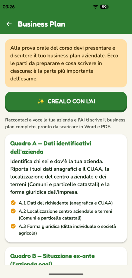 Schermata della guida al business plan